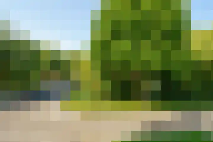 Abrikozenhof 1 Almere thumbnail 34