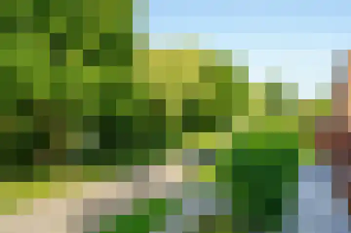 Abrikozenhof 1 Almere thumbnail 35