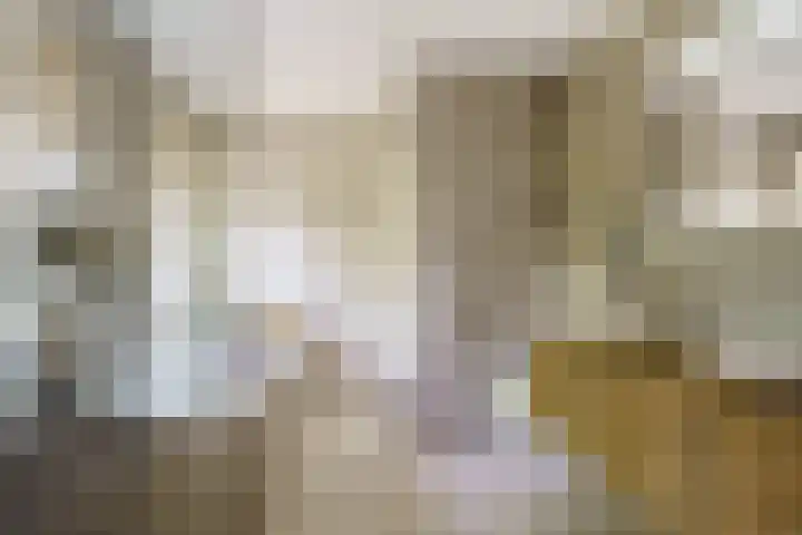Abrikozenhof 1 Almere thumbnail 37