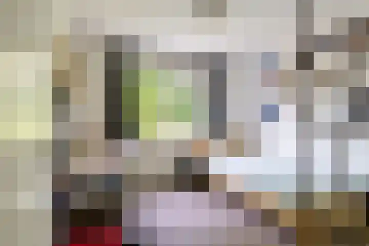 Abrikozenhof 1 Almere thumbnail 42