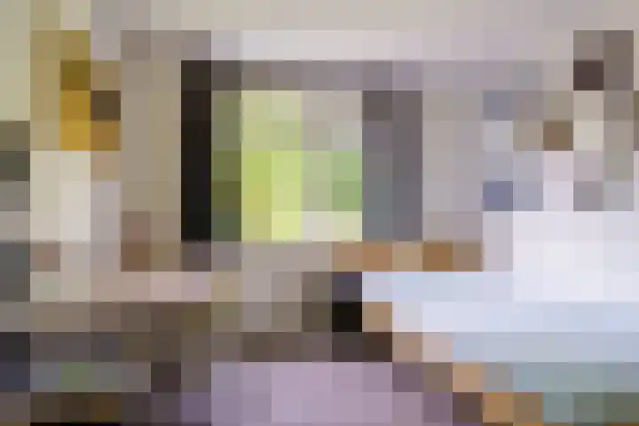 Abrikozenhof 1 Almere thumbnail 43