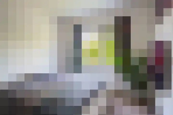 Abrikozenhof 1 Almere thumbnail 45