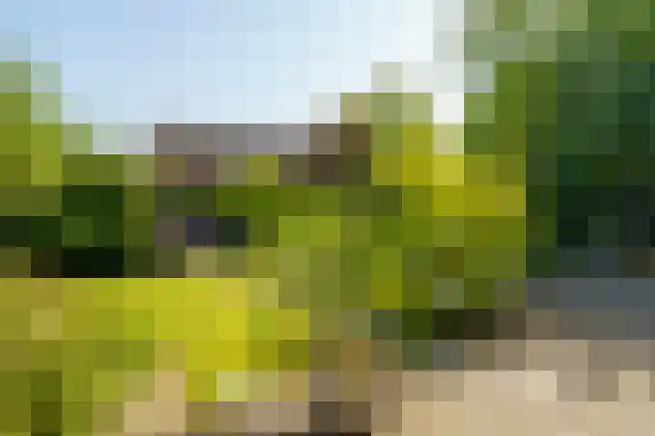 Abrikozenhof 1 Almere thumbnail 47