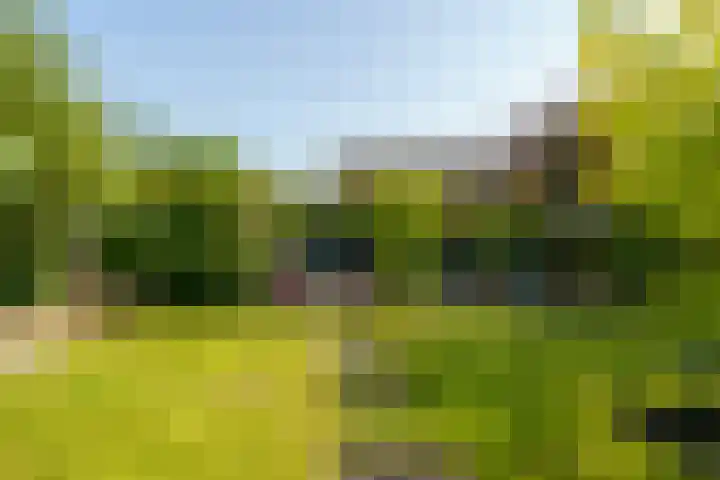Abrikozenhof 1 Almere thumbnail 48