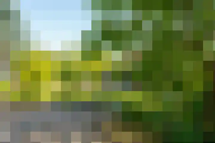 Abrikozenhof 1 Almere thumbnail 49