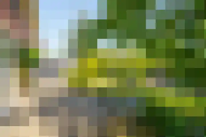 Abrikozenhof 1 Almere thumbnail 50