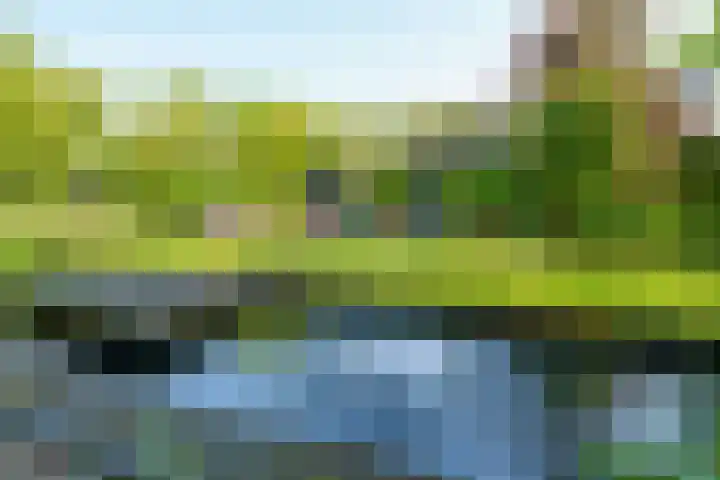 Abrikozenhof 1 Almere thumbnail 51