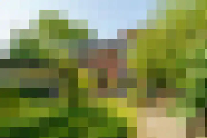Abrikozenhof 1 Almere thumbnail 52