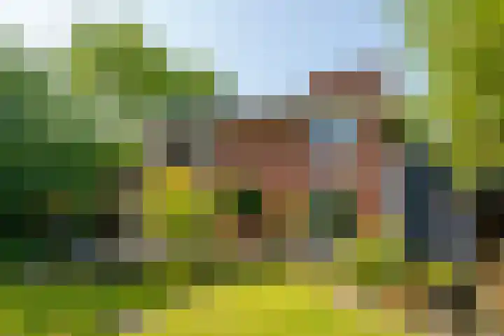 Abrikozenhof 1 Almere thumbnail 53
