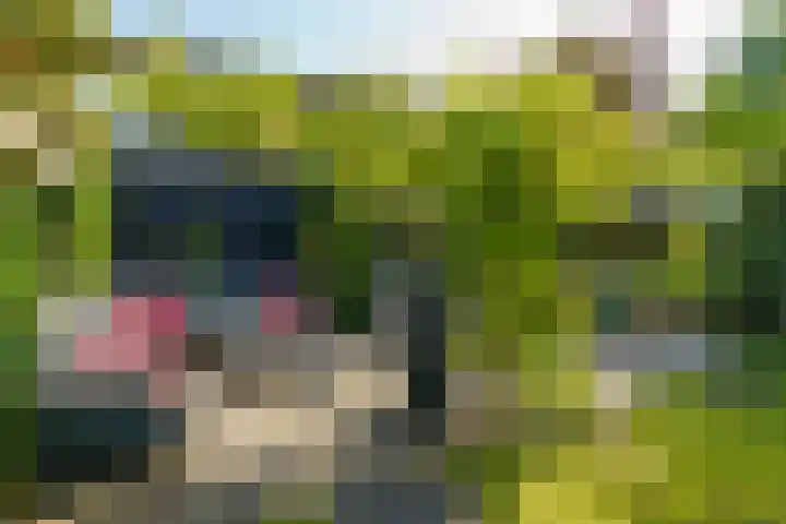 Abrikozenhof 1 Almere thumbnail 54