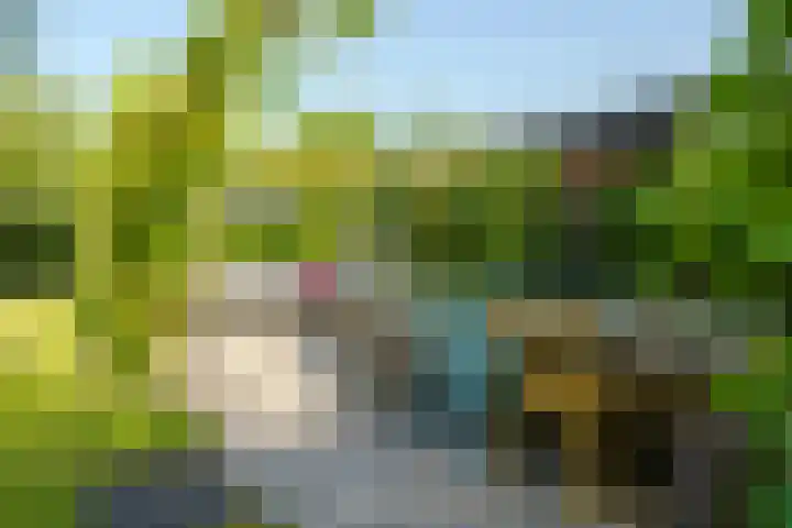 Abrikozenhof 1 Almere thumbnail 55