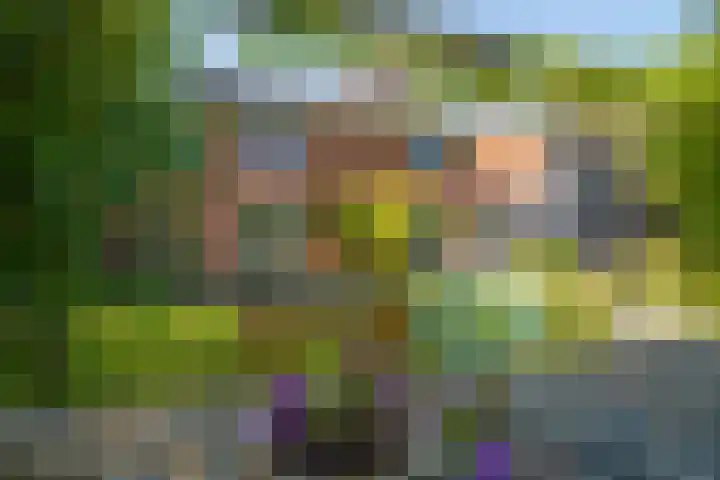 Abrikozenhof 1 Almere thumbnail 56