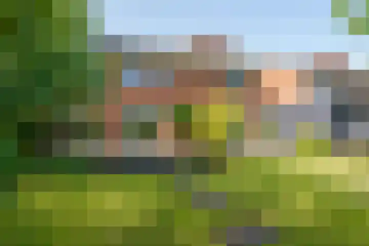 Abrikozenhof 1 Almere thumbnail 57