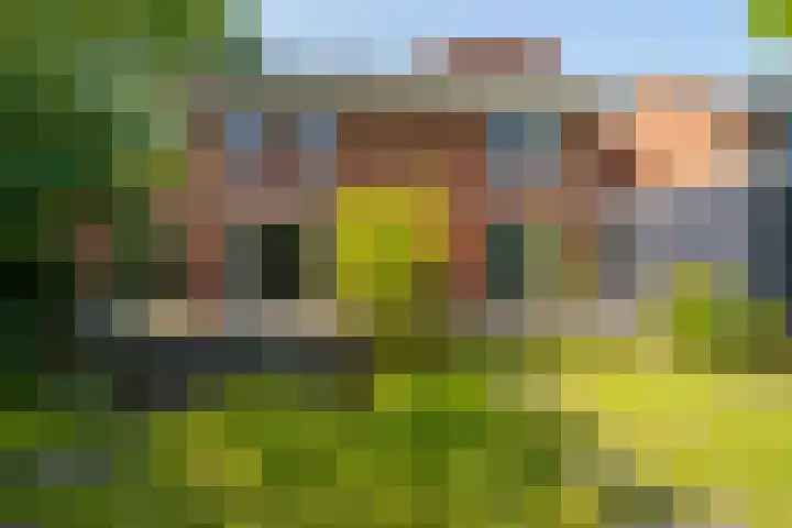 Abrikozenhof 1 Almere thumbnail 58
