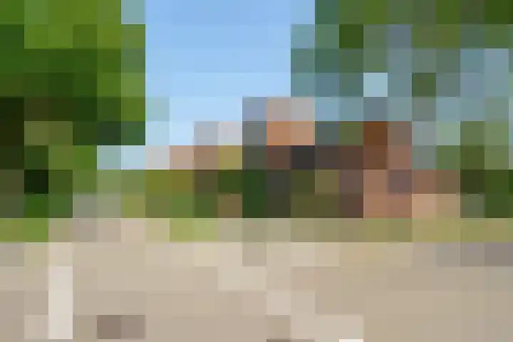 Abrikozenhof 1 Almere thumbnail 59