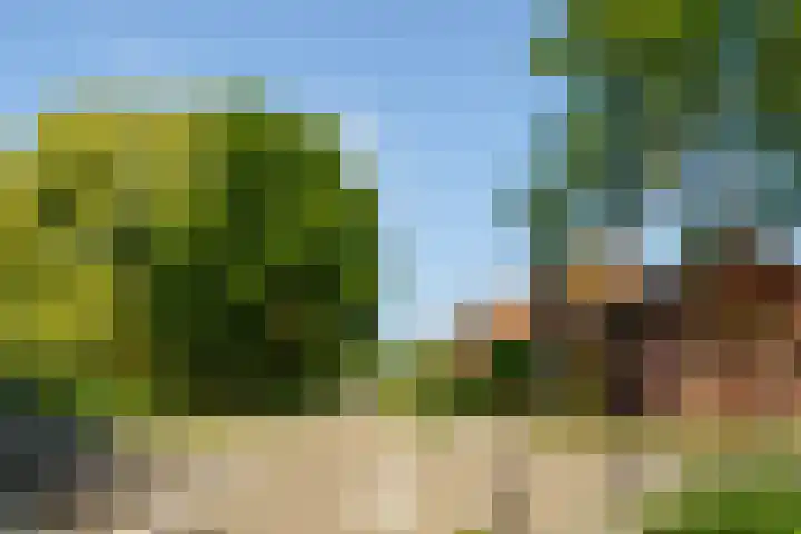 Abrikozenhof 1 Almere thumbnail 60