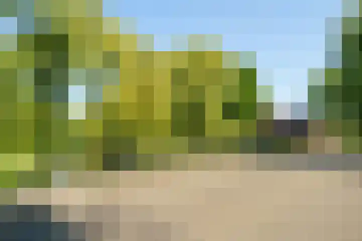 Abrikozenhof 1 Almere thumbnail 61