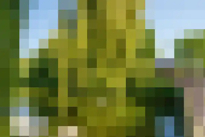 Abrikozenhof 1 Almere thumbnail 62