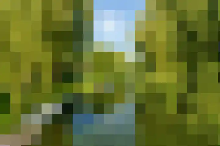 Abrikozenhof 1 Almere thumbnail 63