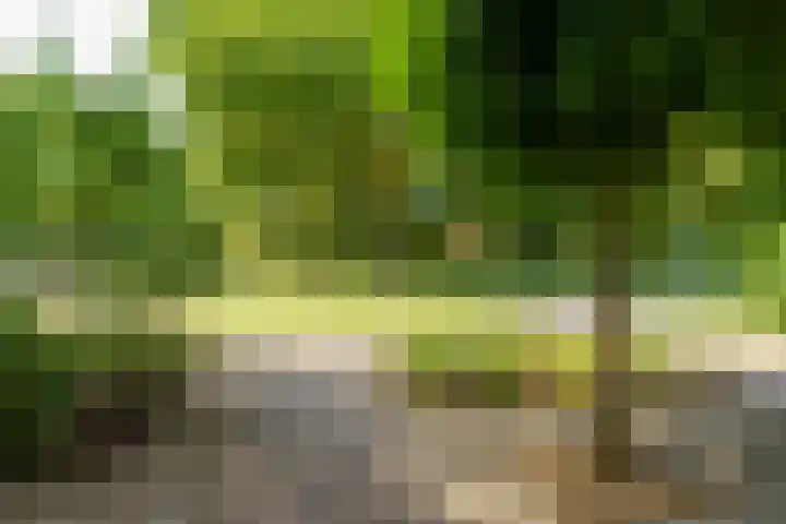 Abrikozenhof 1 Almere thumbnail 65