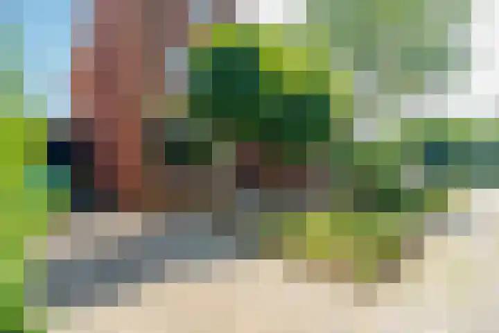 Abrikozenhof 1 Almere thumbnail 7