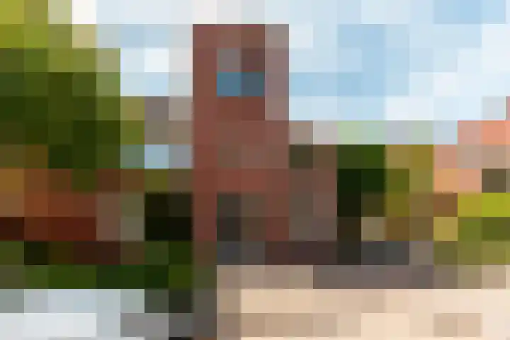 Abrikozenhof 27 Almere thumbnail 35