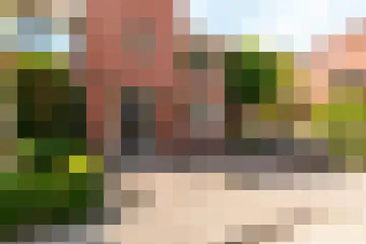 Abrikozenhof 27 Almere thumbnail 6