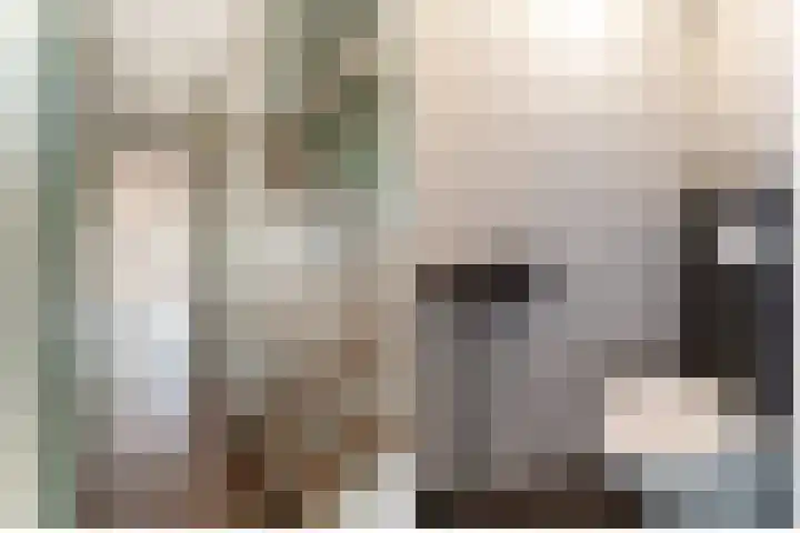 Abrikozenhof 27 Almere thumbnail 7