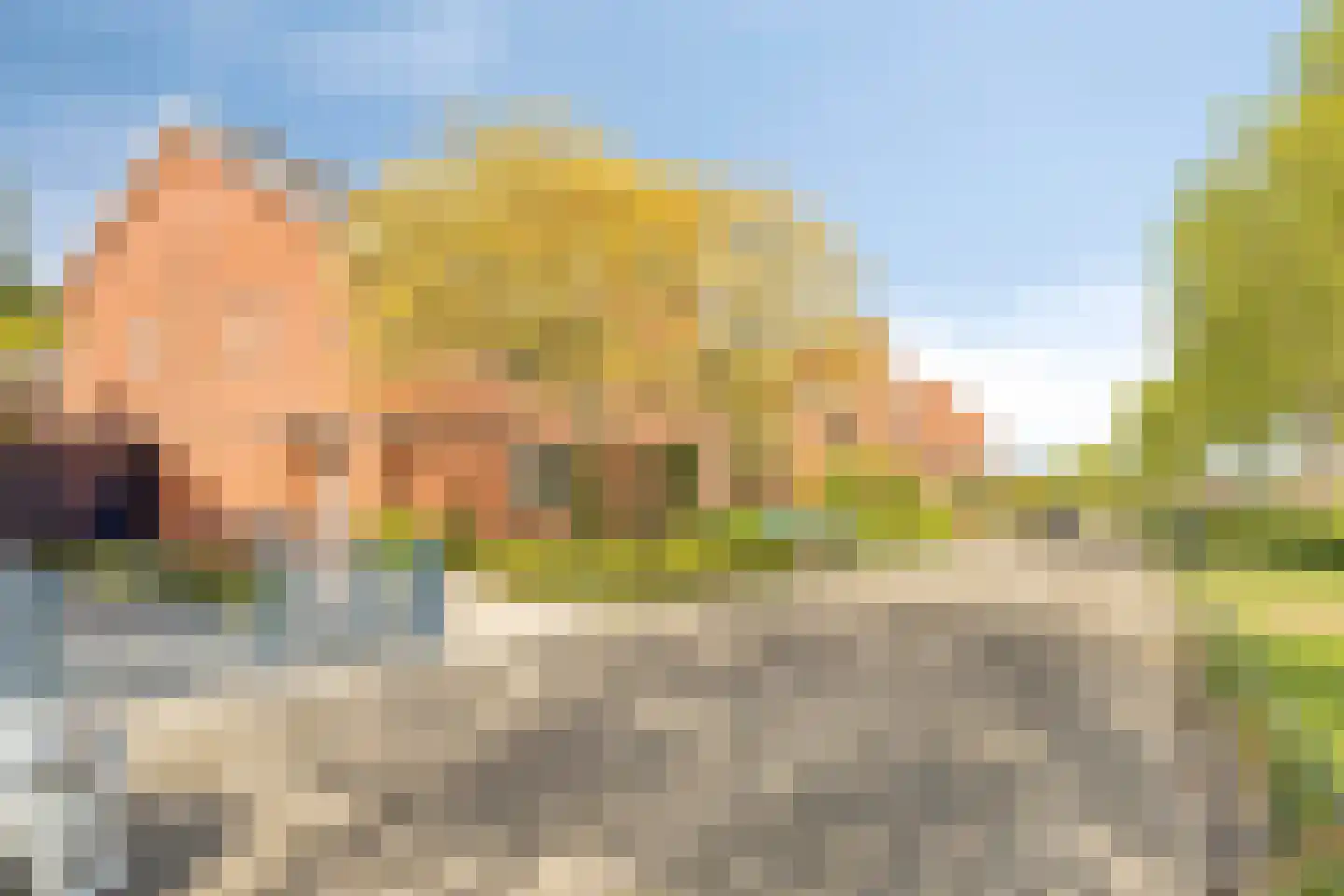 Abrikozenhof 28 Almere thumbnail 36