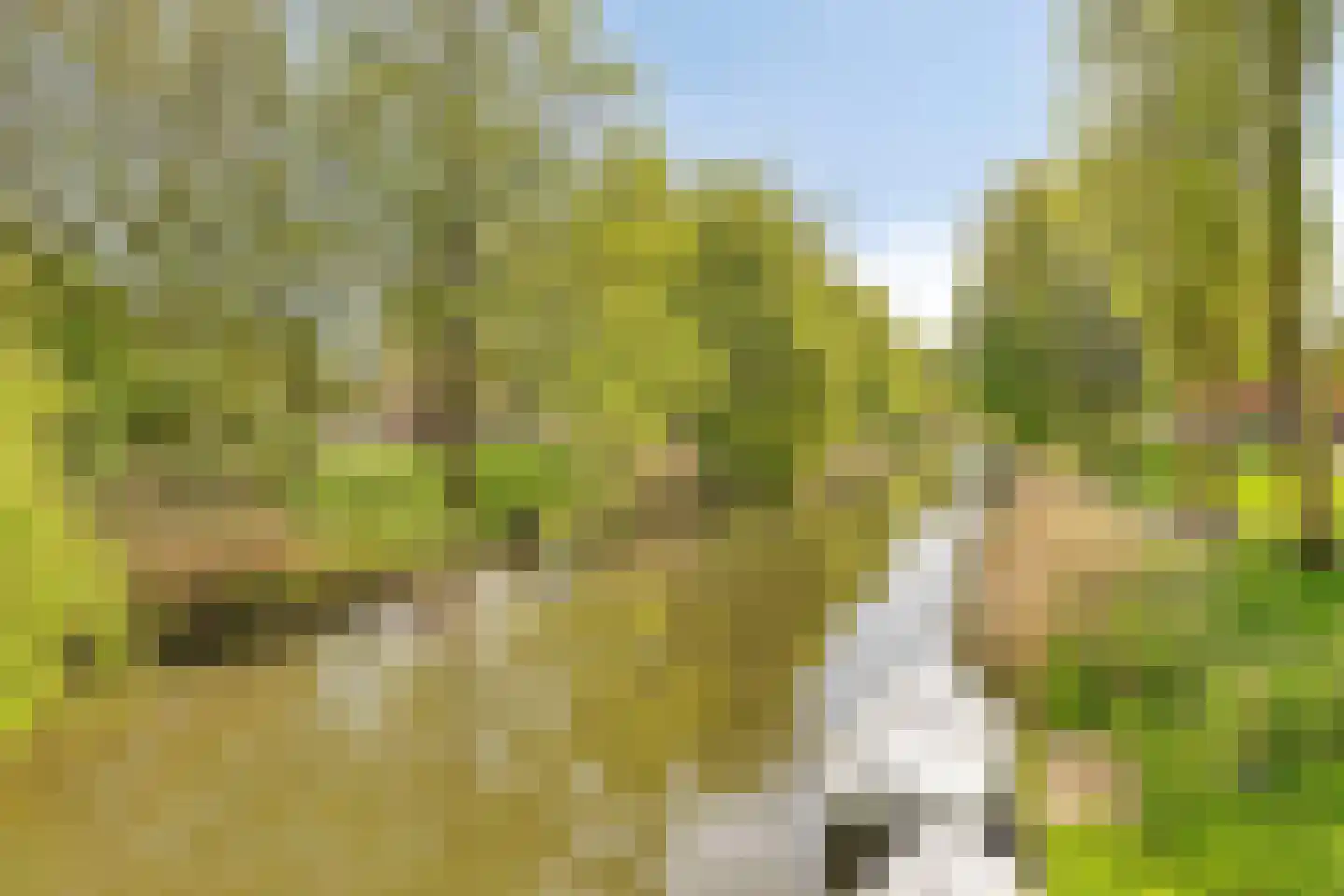 Abrikozenhof 28 Almere thumbnail 39