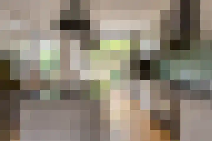 Abrikozenplein 13 Den Haag thumbnail 15