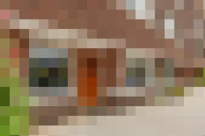 Abrikozenplein 13 Den Haag thumbnail 6