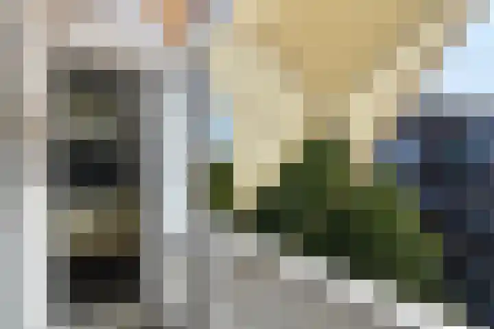 Abrikozenplein 9 Den Haag thumbnail 16