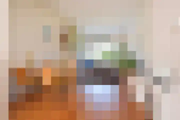 Abrikozenplein 9 Den Haag thumbnail 7