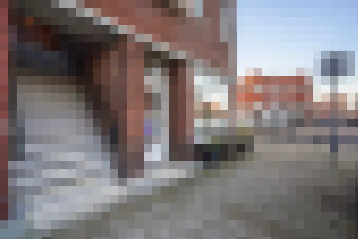 Abrikozenstraat 118 Den Haag thumbnail 56