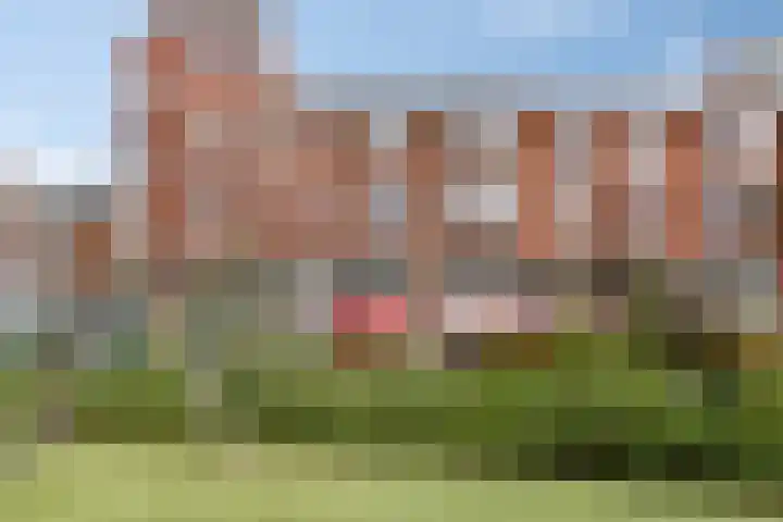 Abrikozenstraat 123 Den Haag thumbnail 31