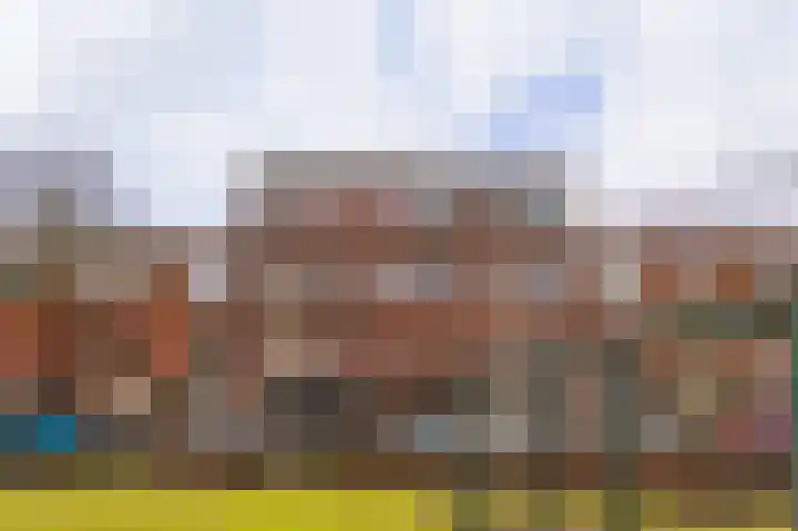 Abrikozenstraat 138 Den Haag thumbnail 50
