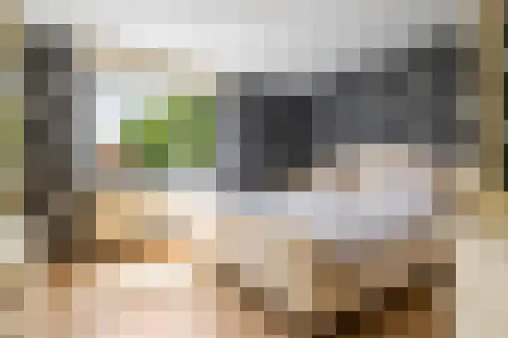 Abrikozenstraat 38 Amsterdam thumbnail 16