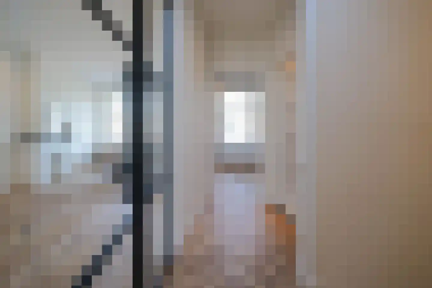 Abrikozenstraat 48 Den Haag thumbnail 38