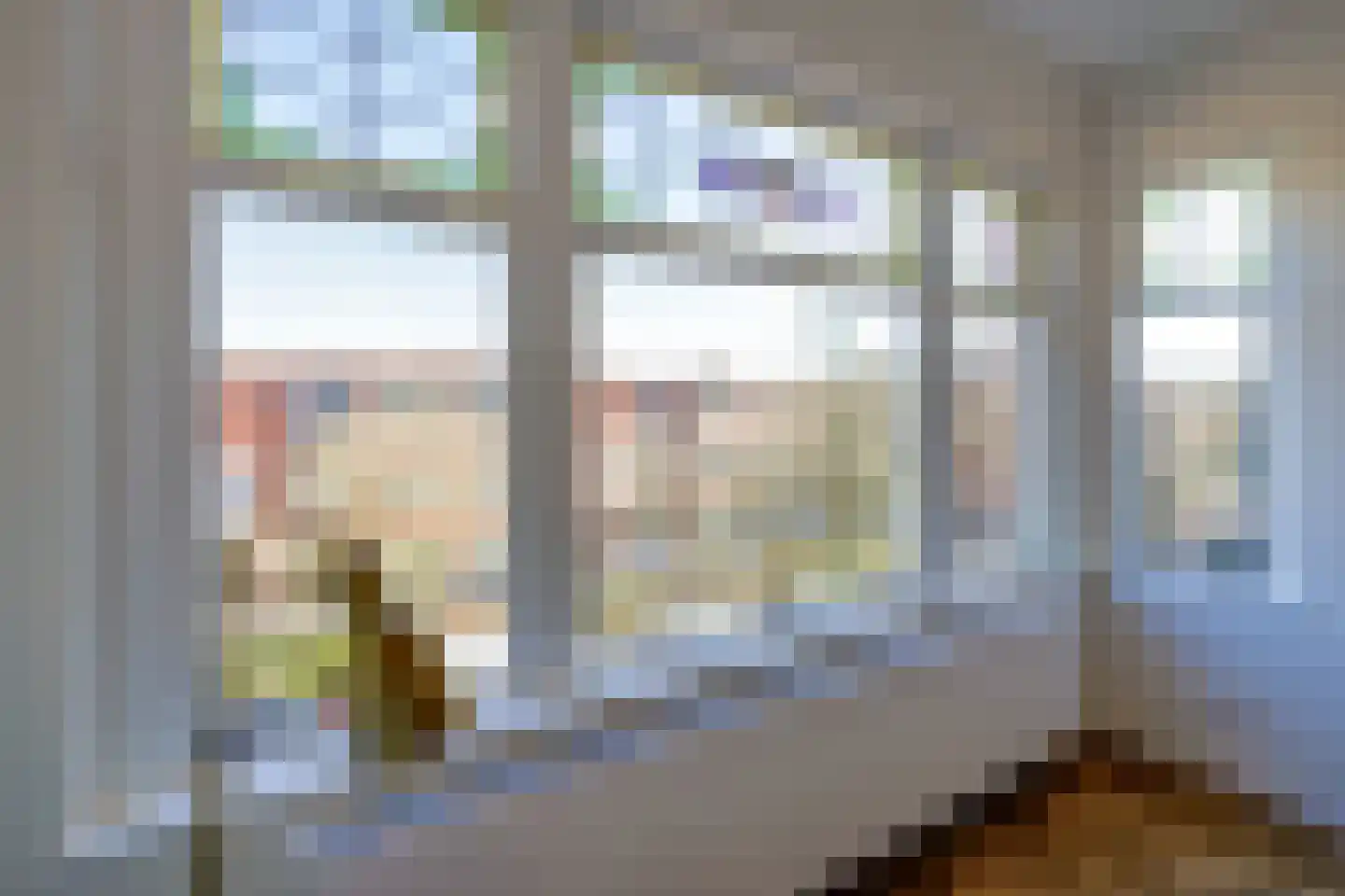 Abrikozenstraat 48 Den Haag thumbnail 8