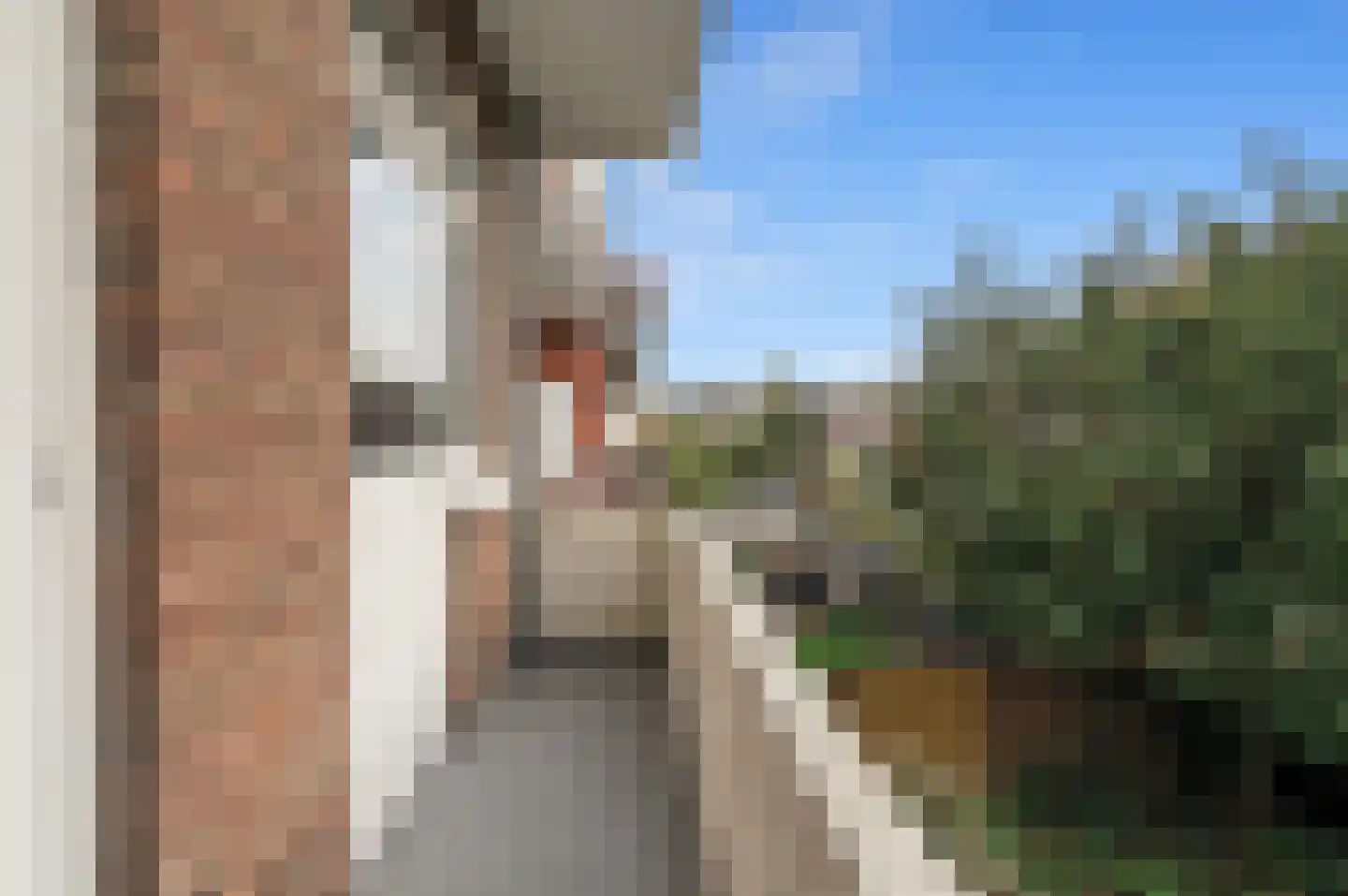 Abrikozenstraat 56 Den Haag thumbnail 15
