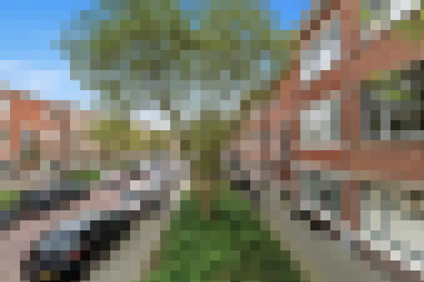 Abrikozenstraat 56 Den Haag thumbnail 6