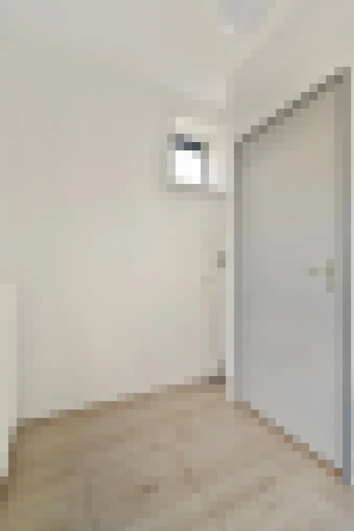 Abrikozenstraat 57 Amsterdam thumbnail 11