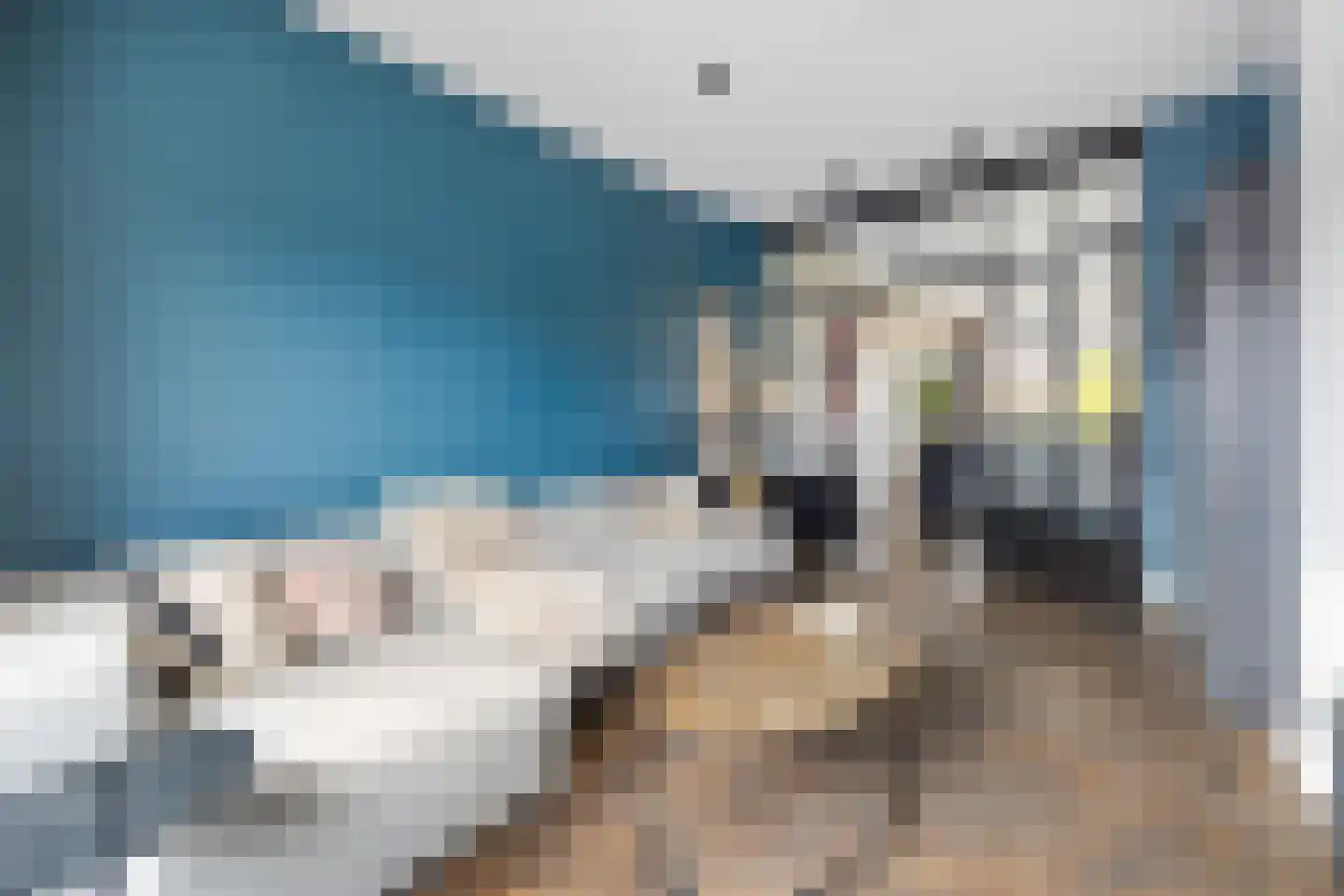 Abrikozenstraat 6 Den Haag thumbnail 11