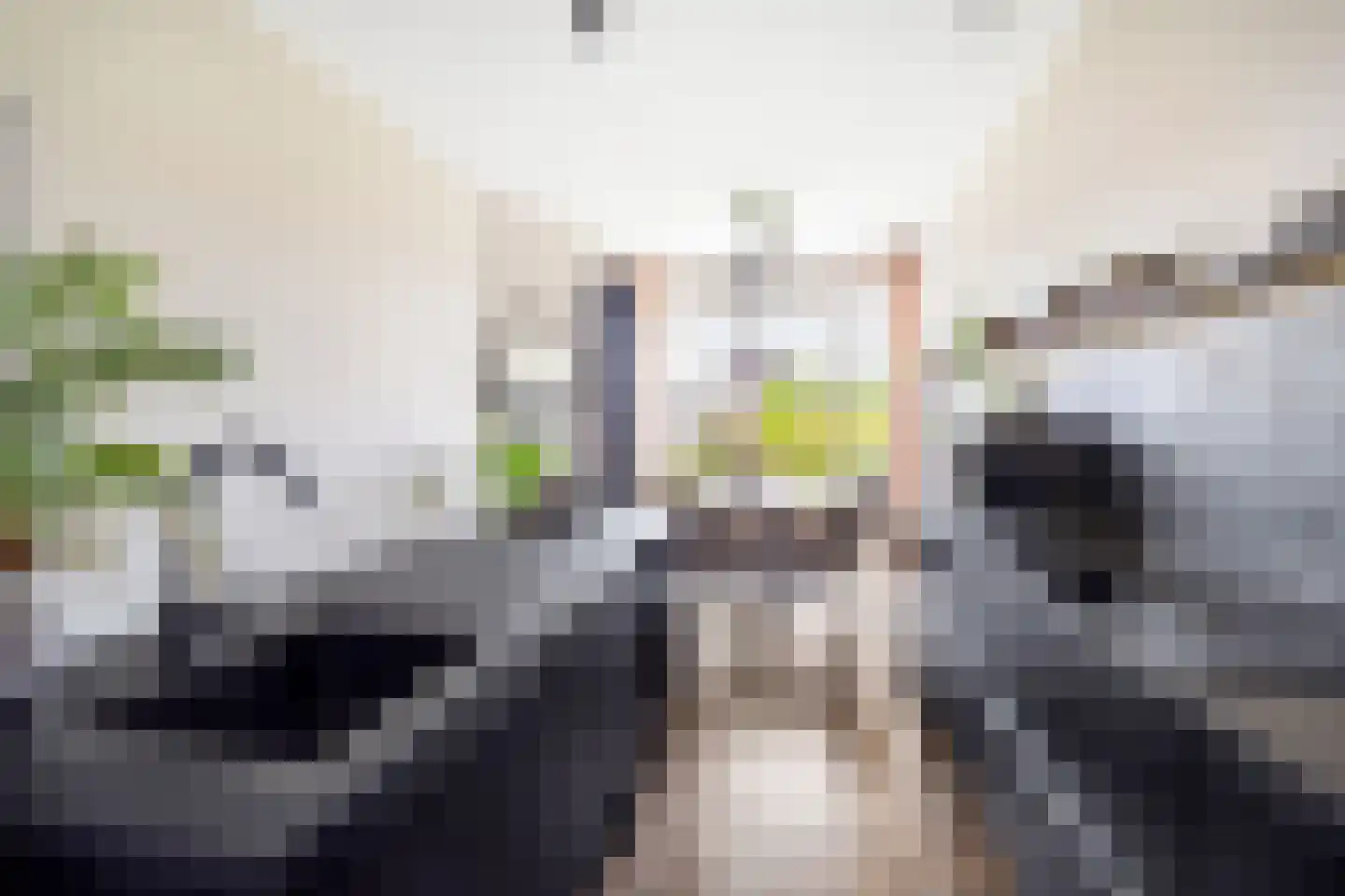 Abrikozenstraat 6 Den Haag thumbnail 16