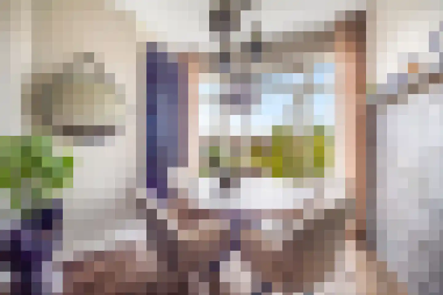 Abrikozenstraat 6 Den Haag thumbnail 17