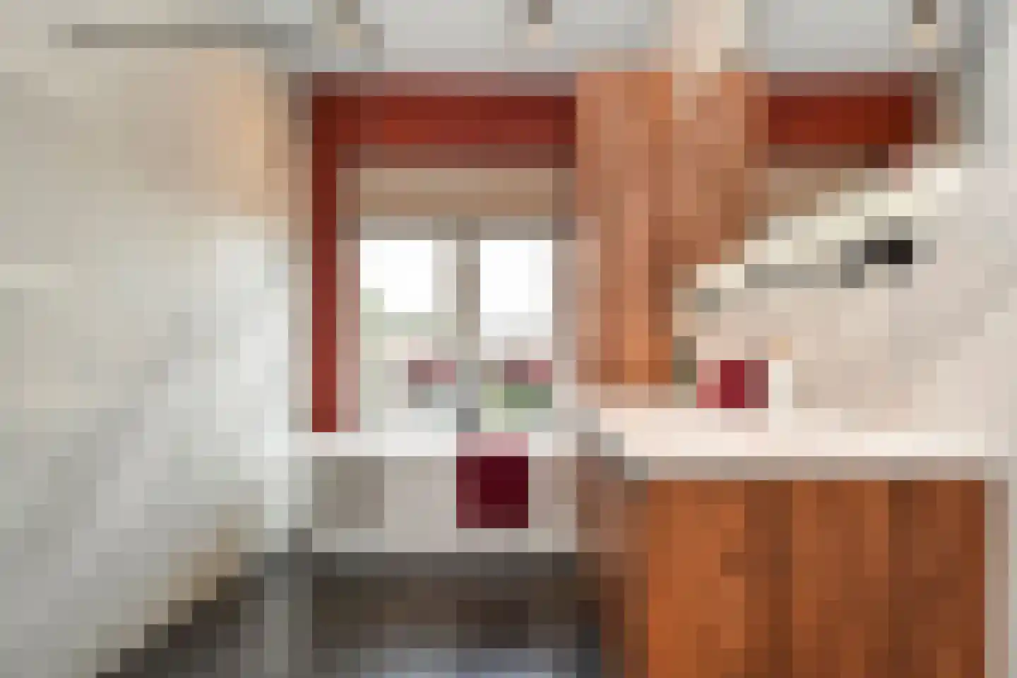 Abrikozenstraat 6 Den Haag thumbnail 21