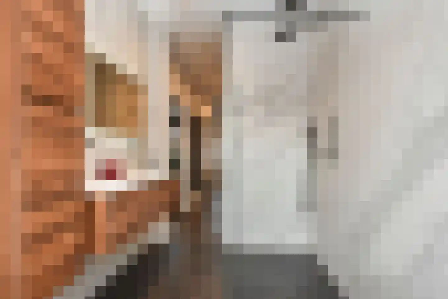 Abrikozenstraat 6 Den Haag thumbnail 23