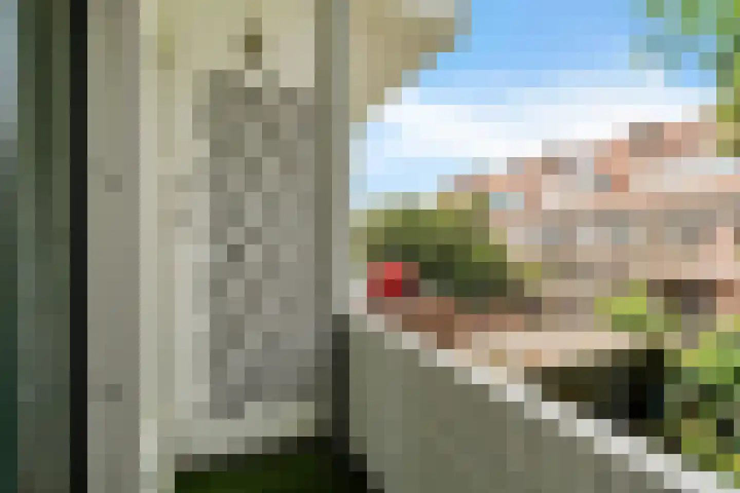 Abrikozenstraat 62 Den Haag thumbnail 35