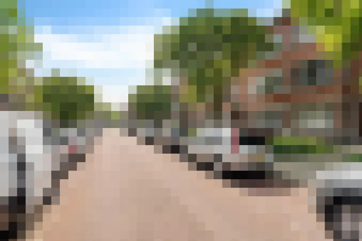 Abrikozenstraat 62 Den Haag thumbnail 6